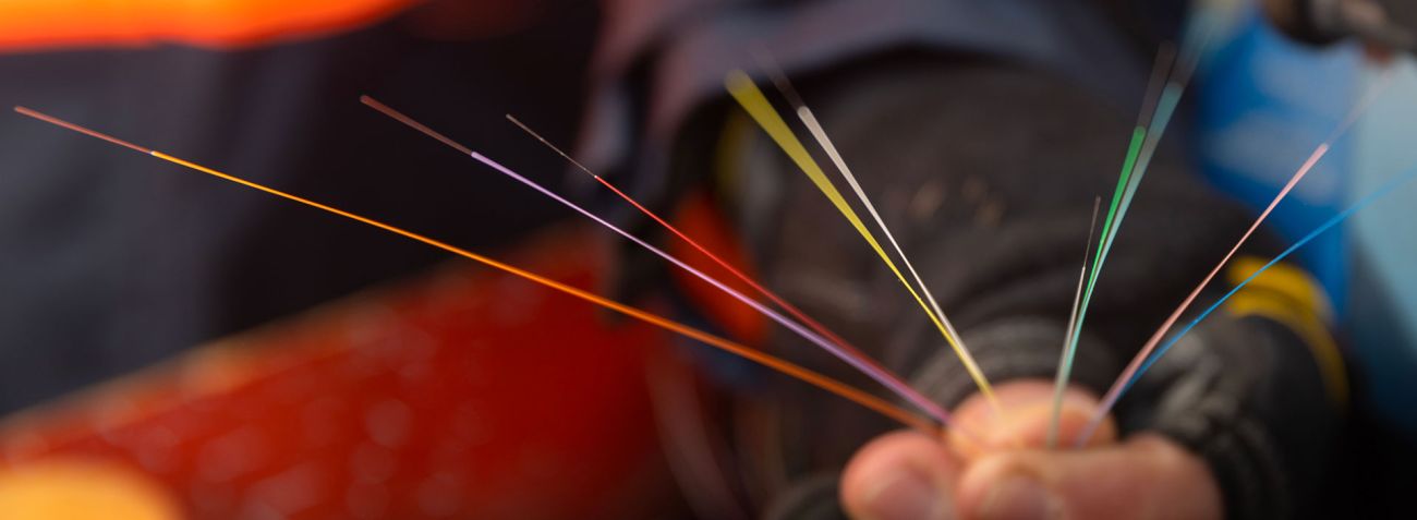Brins de fibre tenu dans une main